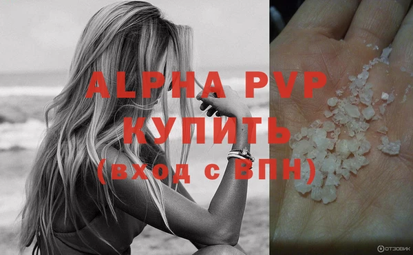 стафф Абинск