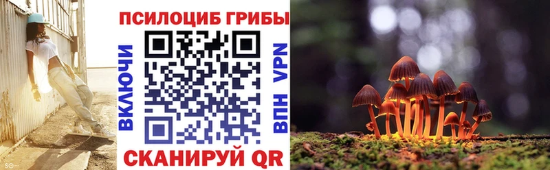 Галлюциногенные грибы мицелий  Советск 