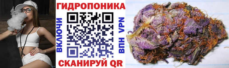 Марихуана марихуана  Советск 